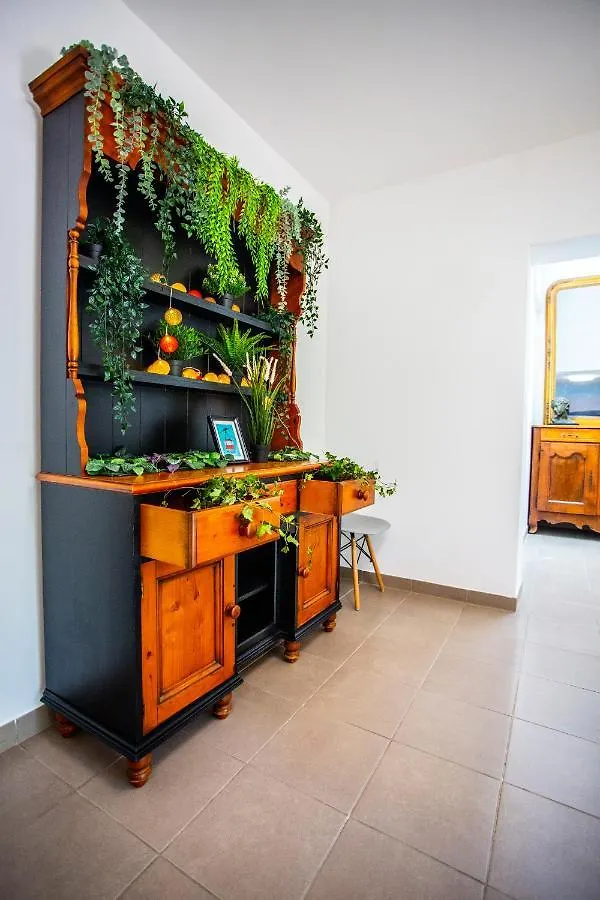 Villa Provence-Spa&Bbq Centre Au Calme- Jardin - Terrasses La Valette-du-Var